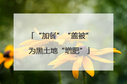 “加餐”“盖被” 为黑土地“增肥”